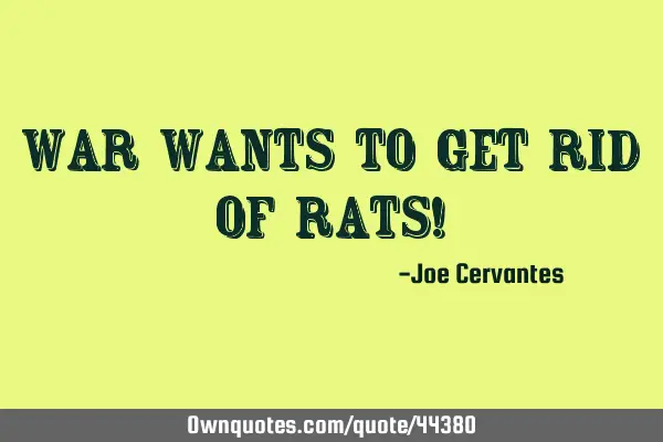 War wants to get rid of rats!