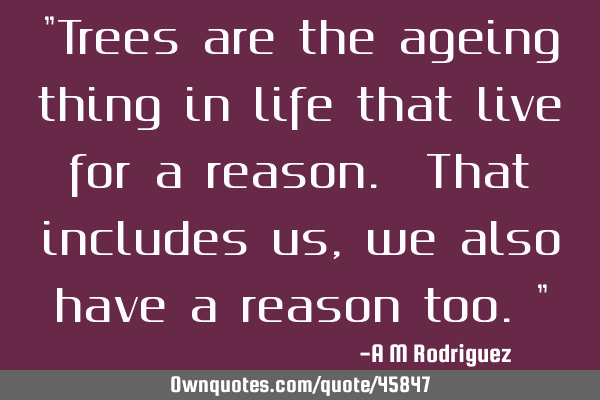"Trees are the ageing thing in life that live for a reason. That includes us,we also have a reason