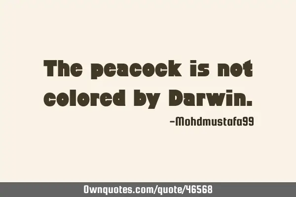 The peacock is not colored by D