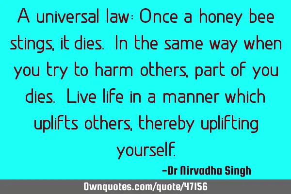 A universal law: Once a honey bee stings, it dies. In the same way when you try to harm others,