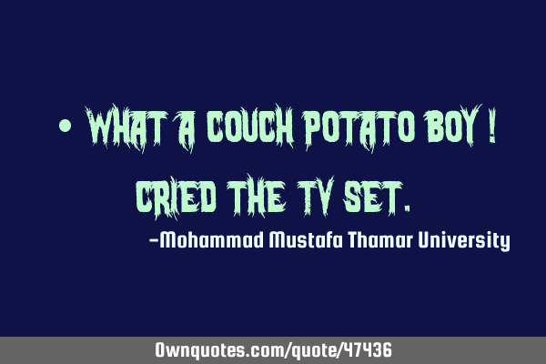 • What a couch potato boy ! cried the TV