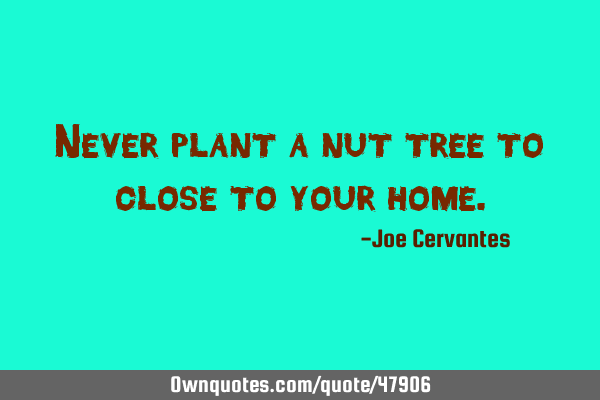 Never plant a nut tree to close to your