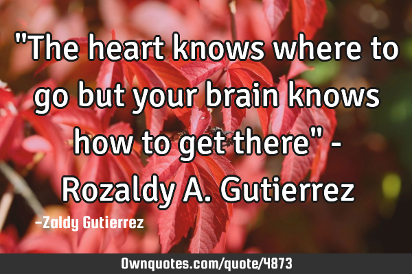 "The heart knows where to go but your brain knows how to get there" - Rozaldy A. G
