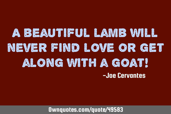 A beautiful lamb will never find love or get along with a goat!