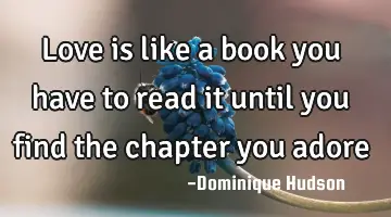 love is like a book you have to read it until you find the chapter you