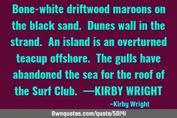 Bone-white driftwood maroons on the black sand. Dunes wall in the strand. An island is an