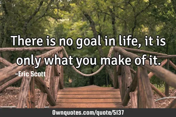 There is no goal in life, it is only what you make of