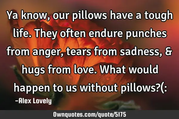 Ya know, our pillows have a tough life. They often endure punches from anger, tears from sadness, &