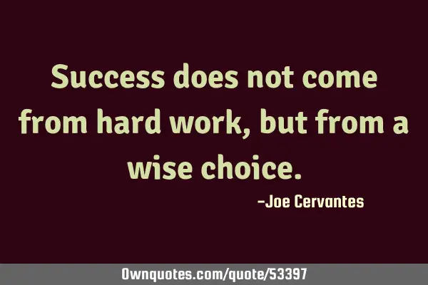 Success does not come from hard work, but from a wise