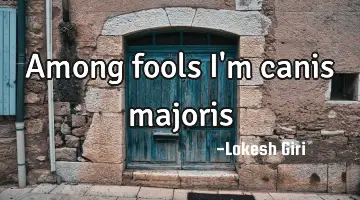 Among fools I'm canis majoris