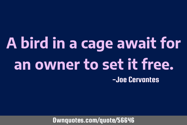 A bird in a cage await for an owner to set it
