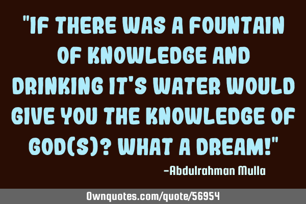 "If there was a Fountain of Knowledge and drinking it