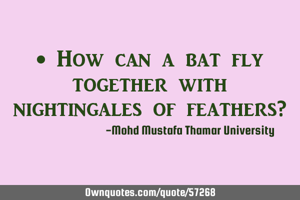 • How can a bat fly together with nightingales of feathers?
