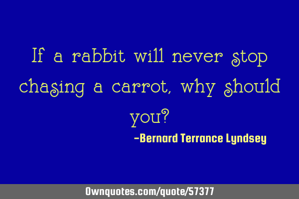If a rabbit will never stop chasing a carrot, why should you?