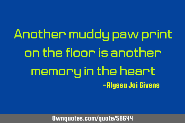 Another muddy paw print on the floor is another memory in the