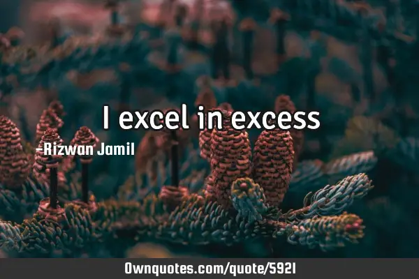 I excel in