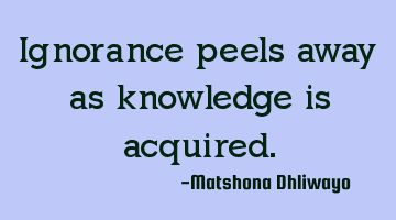 Ignorance peels away as knowledge is acquired.