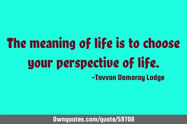 The meaning of life is to choose your perspective of