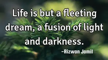 Life is but a fleeting dream, a fusion of light and darkness.