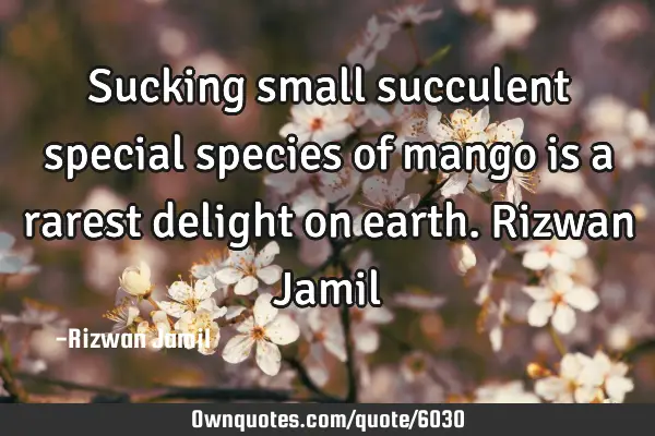 Sucking small succulent special species of mango is a rarest delight on earth. Rizwan J