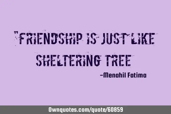 "Friendship Is Just Like Sheltering T