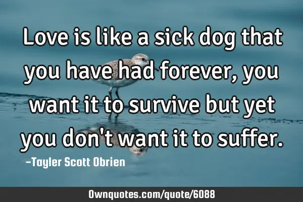 Love is like a sick dog that you have had forever , you want it to survive but yet you don