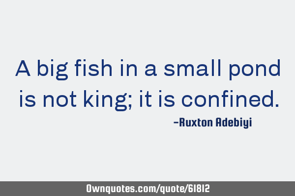 A big fish in a small pond is not king; it is