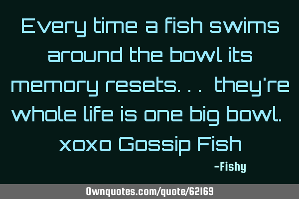 Every time a fish swims around the bowl its memory resets... they