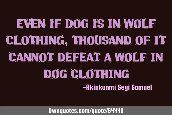 Even if dog is in wolf clothing, thousand of it cannot defeat a wolf in dog