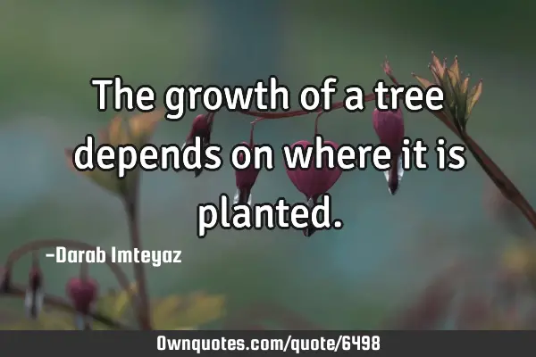 The growth of a tree depends on where it is
