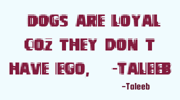 “Dogs are loyal coz they don’t have ego,” -Taleeb