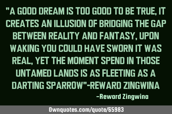 "A good dream is too good to be true, it creates an illusion of bridging the gap between reality