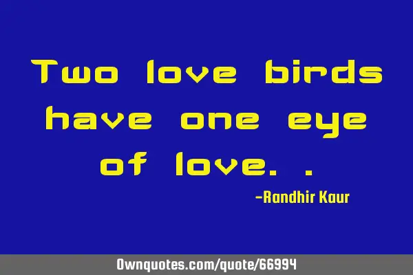 Two love birds have one eye of