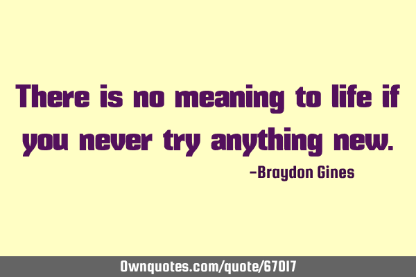 There is no meaning to life if you never try anything