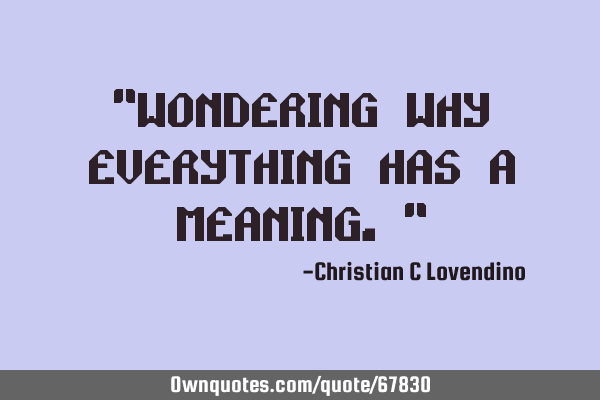 "Wondering why everything has a meaning."