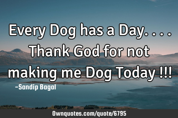 Every Dog has a Day.... Thank God for not making me Dog Today !!!
