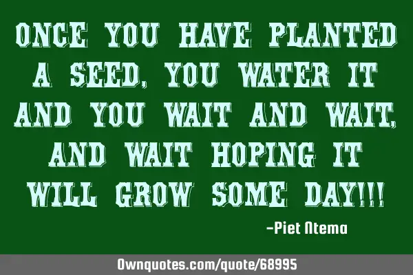 Once you have planted a seed, you water it and you wait and wait, and wait hoping it will grow some