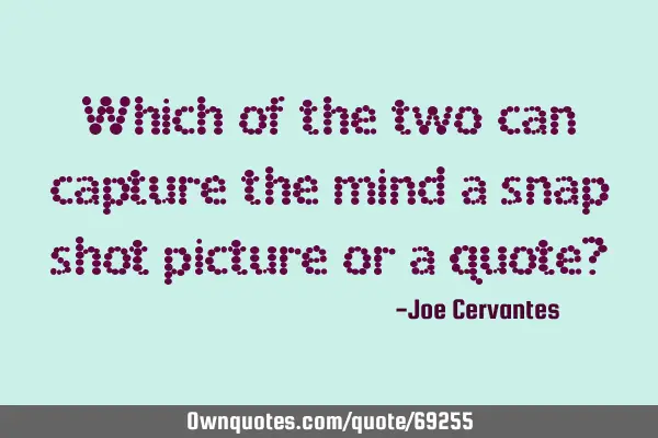 Which of the two can capture the mind a snap shot picture or a quote?