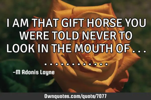 I AM THAT GIFT HORSE YOU WERE TOLD NEVER TO LOOK IN THE MOUTH OF