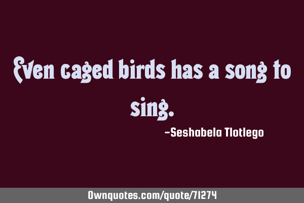 Even caged birds has a song to
