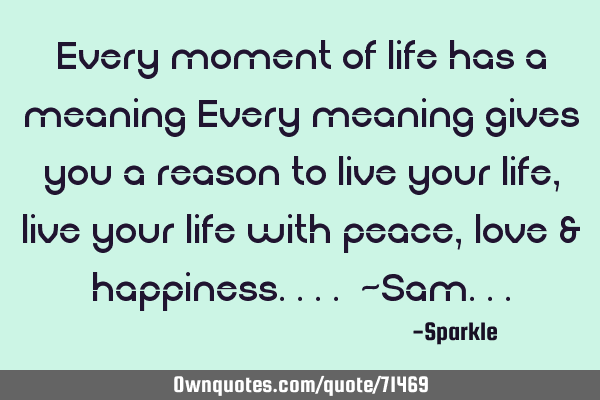 Every moment of life has a meaning Every meaning gives you a reason to live your life, live your