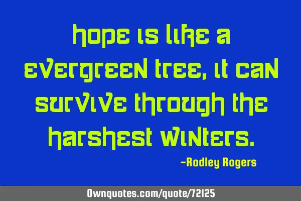 Hope is like a evergreen tree, it can survive through the harshest