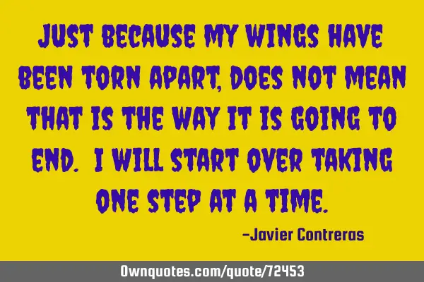 Just because my wings have been torn apart, does not mean that is the way it is going to end. I