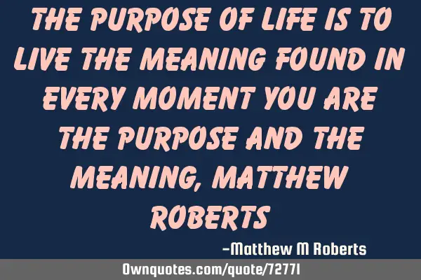 The purpose of life is to live the meaning found in every moment you are the purpose and the