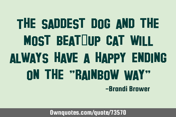 The saddest dog and the most beat-up cat will always have a happy ending on the "Rainbow Way"