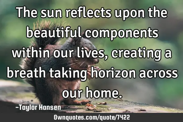 The sun reflects upon the beautiful components within our lives, creating a breath taking horizon