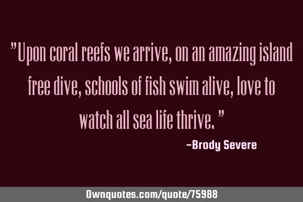 "Upon coral reefs we arrive, on an amazing island free dive, schools of fish swim alive, love to