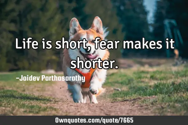 Life is short, fear makes it