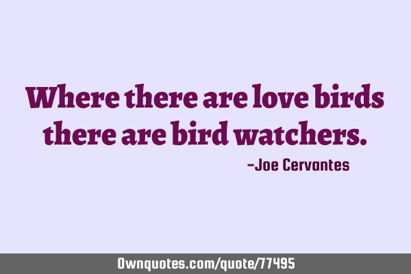 Where there are love birds there are bird