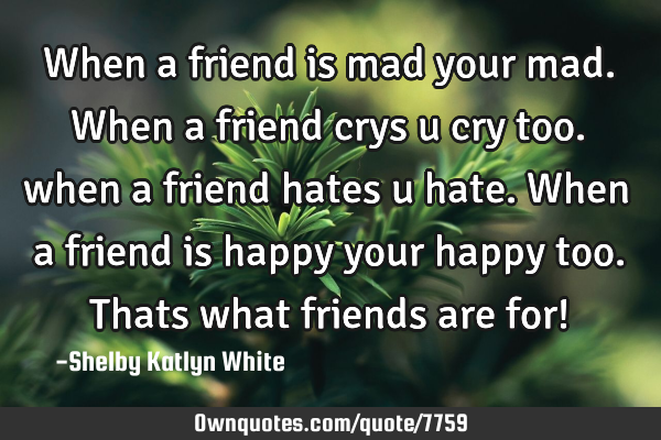 When a friend is mad your mad.when a friend crys u cry too. when a friend hates u hate.when a